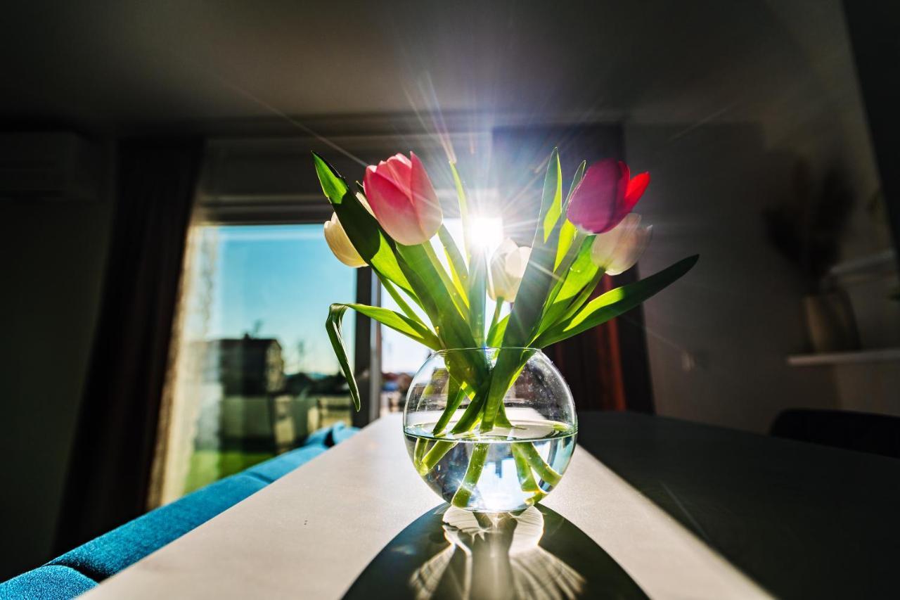 Holiday Apartment Zadar - With Summer Balcony And Parking Exteriér fotografie